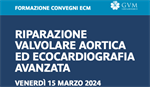 Riparazione valvolare aortica ed ecocardiografia avanzata