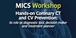 GVM Campus - MICS Workshop Hands-on Coronary CT and CV Prevention