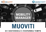 Mobility manager